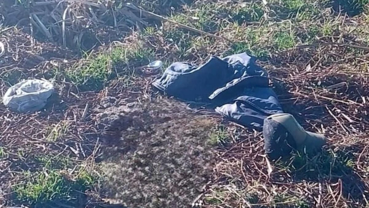 En avanzado estado de descomposición localizan cadáver cerca del Residencial BUAP