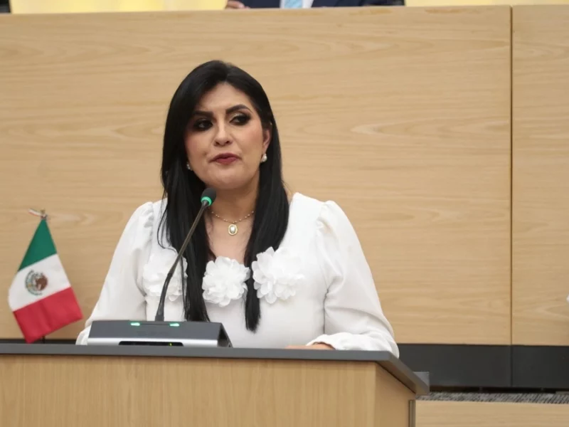 Delfina Pozos descarta renuncia: se queda en el PRI  