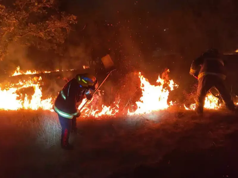 Incendio forestal avanza y amenaza con llegar a casas del fraccionamiento Haras.