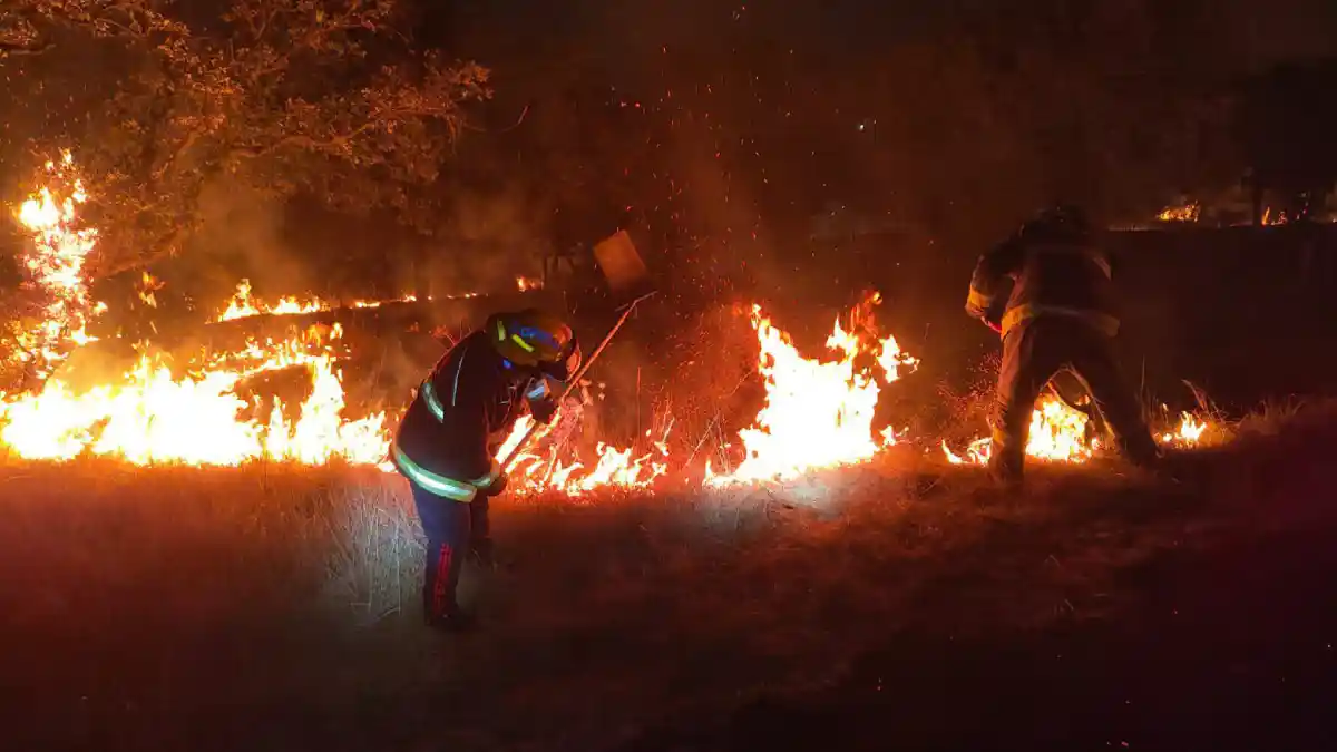 Incendio forestal avanza y amenaza con llegar a casas del fraccionamiento Haras.