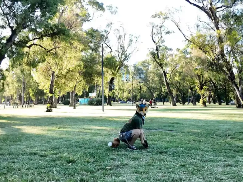 Un therian en un parque de Argentina.