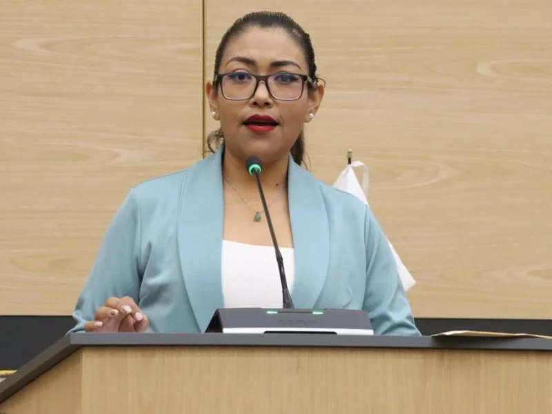 Familia de diputada de Nueva Alianza le renta predio a negocio huachicolero  
