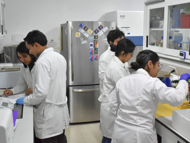 Estudian en la BUAP cannabinoides para tratamiento de epilepsia