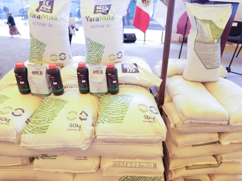 Gobierno de Puebla lanza licitación para la compra de fertilizantes y semillas