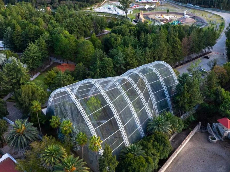 Esto costará la primera etapa de la rehabilitación de Flor del Bosque
