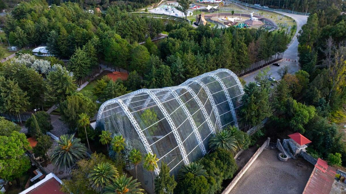 Esto costará la primera etapa de la rehabilitación de Flor del Bosque