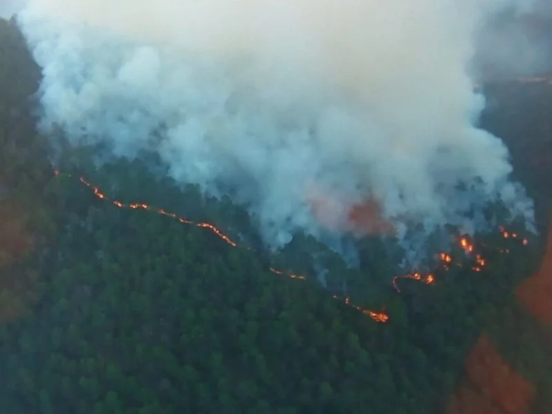 Armenta supervisa mitigación de incendio en Vicente Guerrero y anuncia vivero forestal 