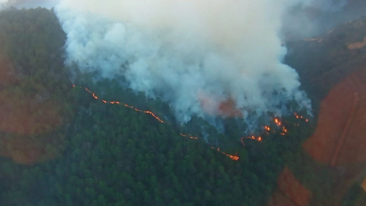 Armenta supervisa mitigación de incendio en Vicente Guerrero y anuncia vivero forestal 