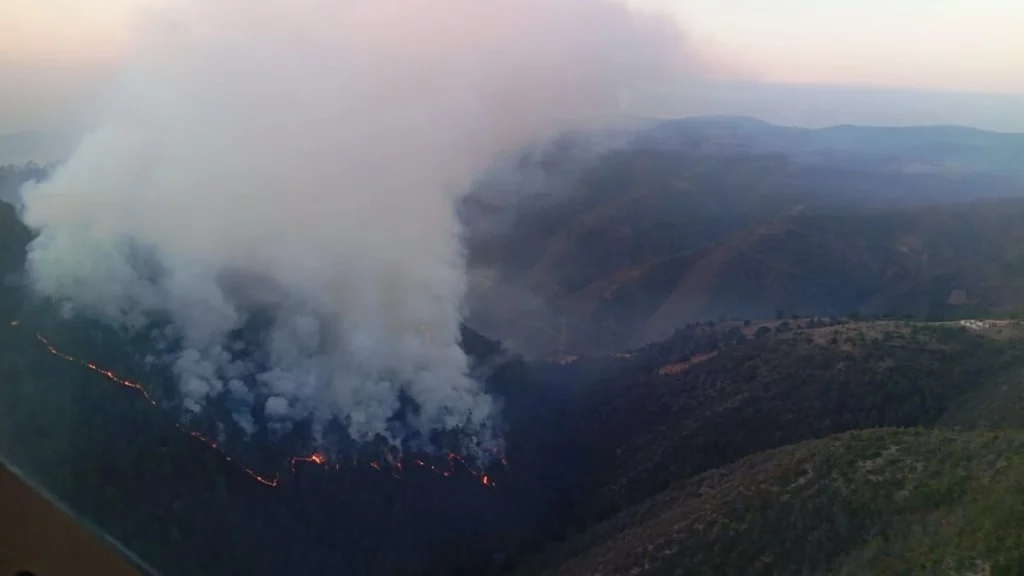 Tras el incendio en Vicente Guerrero, se anunció la instalación de un vivero.