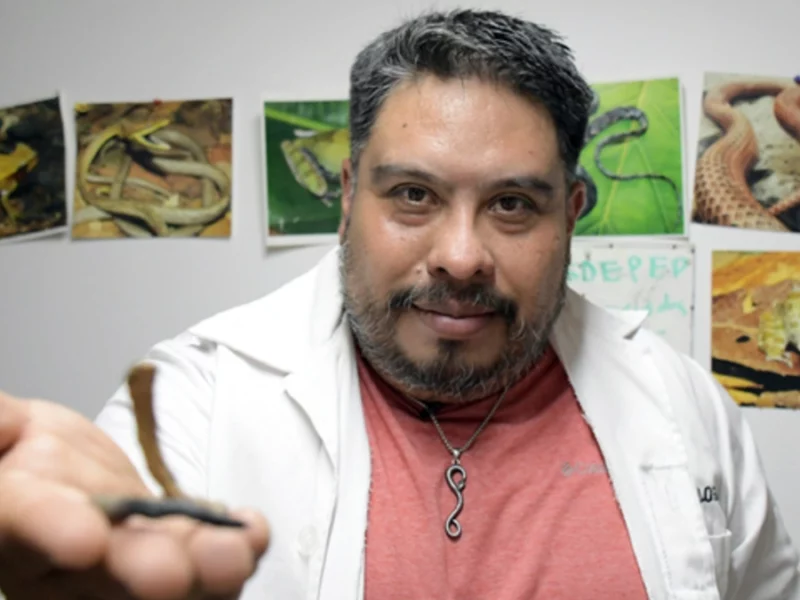 Investigador BUAP descubre una nueva especie de serpiente endémica de Puebla