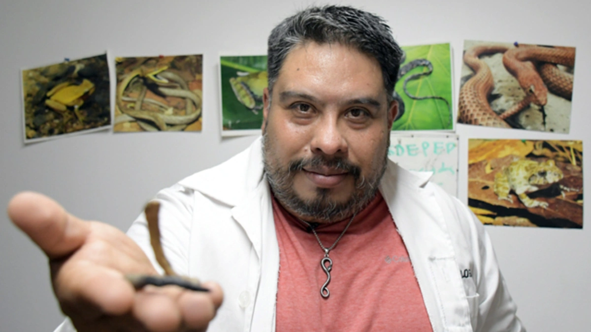 Investigador BUAP descubre una nueva especie de serpiente endémica de Puebla