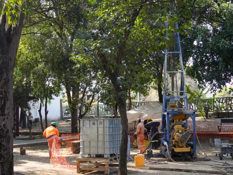 Descartan tala de árboles para construir Cablebús de Puebla, serán reubicados: García Parra 