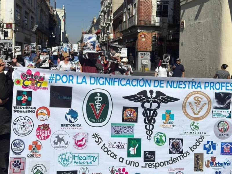 Veterinarios de Puebla piden mayor seguridad y que se dignifique su trabajo  