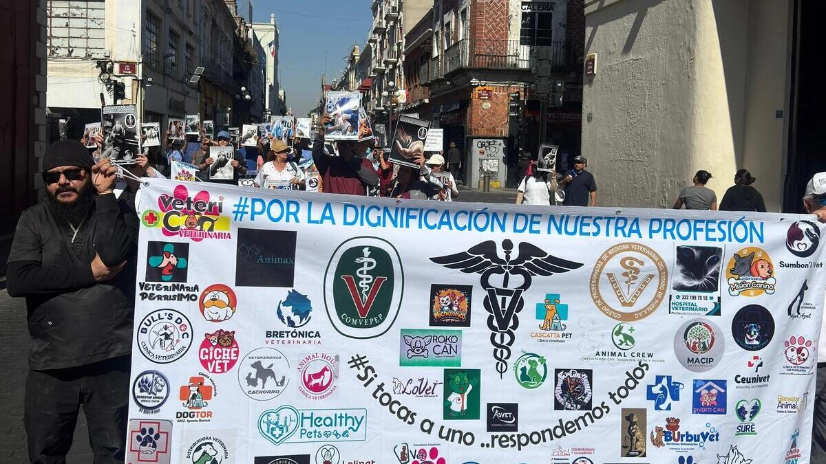 Veterinarios de Puebla piden mayor seguridad y que se dignifique su trabajo  