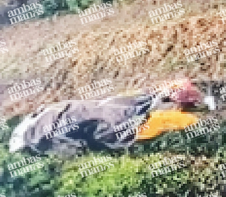 A Argelia, la catequista de San José Chiapa, la encontraron sin vida sus propios familiares. 