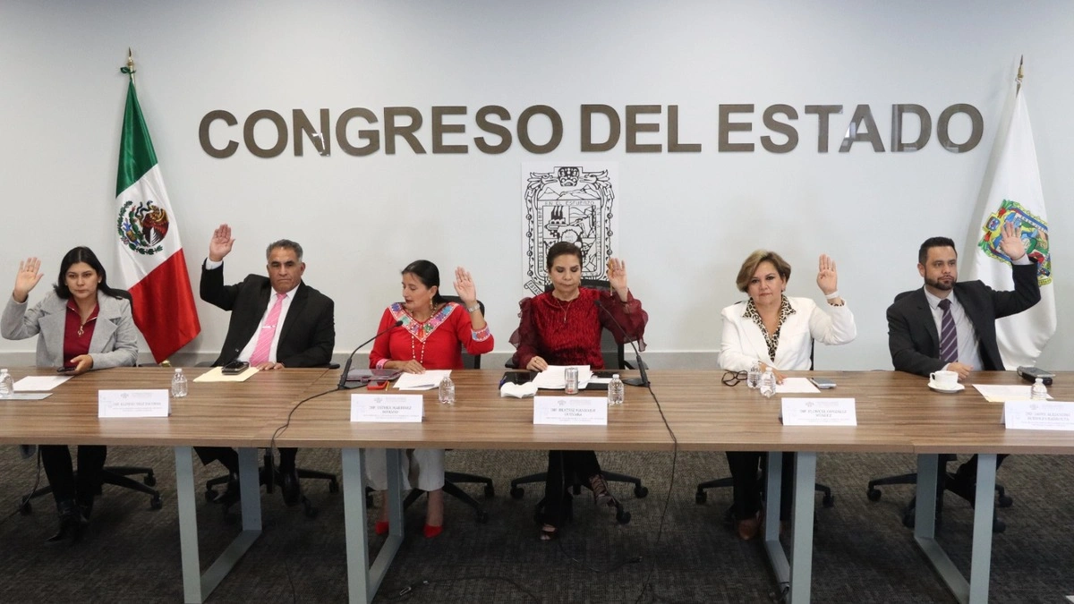 Desaparición del Instituto de Bienestar Animal avanza en comisiones; DIF asumirá sus funciones 