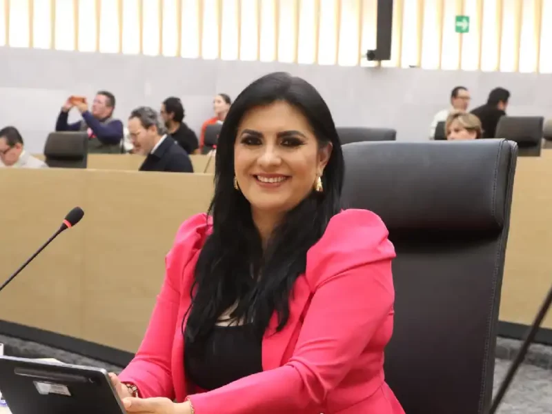 Impulsa la diputada Delfina Pozos modificaciones al Código de Instituciones y Procesos Electorales
