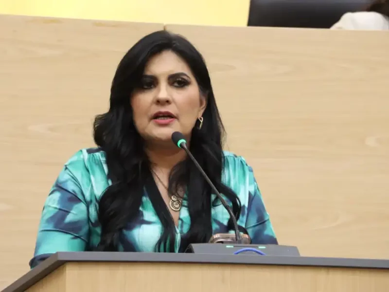 Diputada Delfina Pozos presenta iniciativa para fortalecer la transparencia, pluralidad y responsabilidad en la toma de decisiones