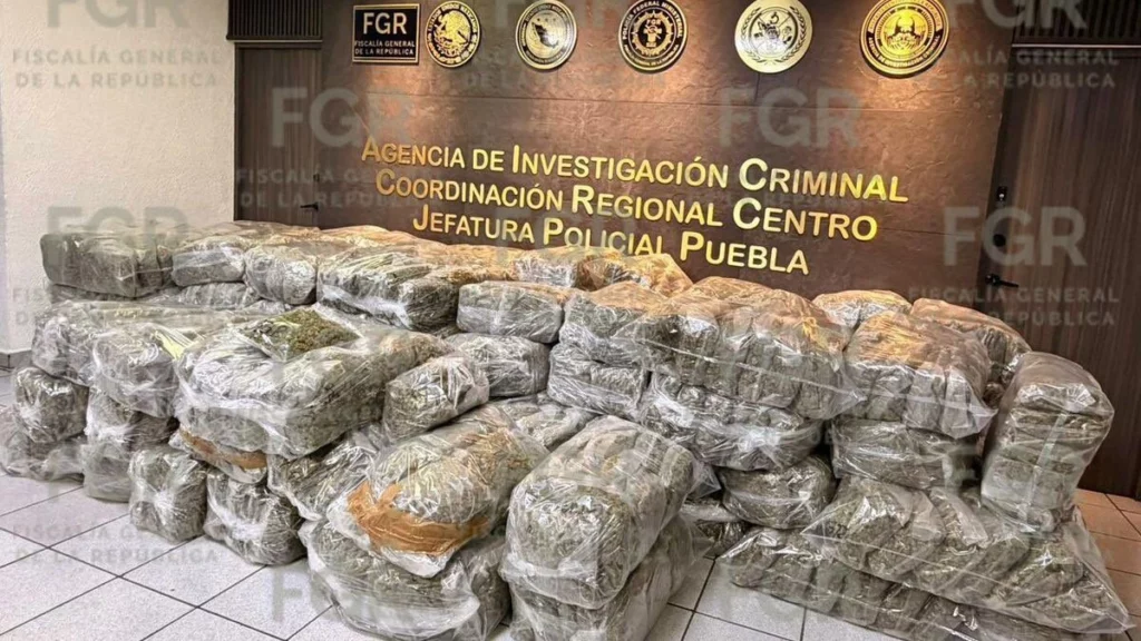 Kevin transportaba 780 kilos de marihuana en Puebla, por lo que la FGR lo detuvo. 