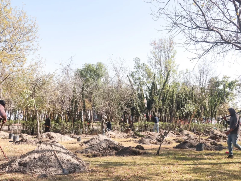 Pide Ibero al Gobierno de Puebla evaluar alternativas sustentables para construir el Cablebús   