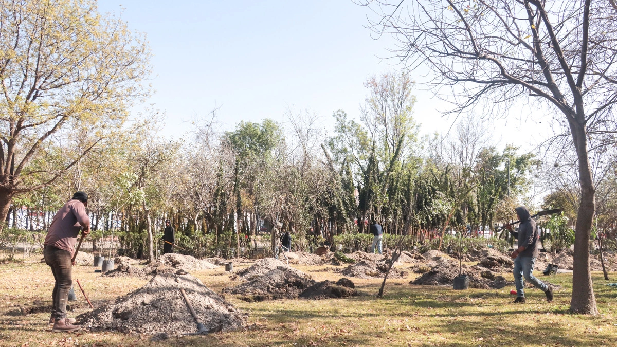 Pide Ibero al Gobierno de Puebla evaluar alternativas sustentables para construir el Cablebús   