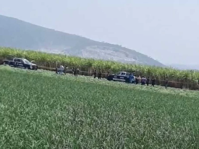 Ejecutan a hombre en terrenos de cultivo de Izúcar de Matamoros