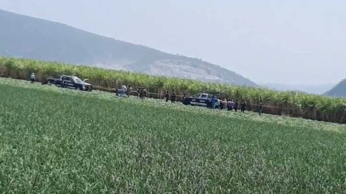 Ejecutan a hombre en terrenos de cultivo de Izúcar de Matamoros
