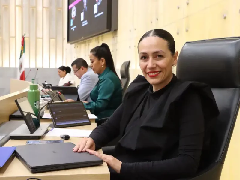 Fortalecer la independencia económica de las mujeres que acuden a las Casas Carmen Serdán, propone la diputada Ana Laura Gómez