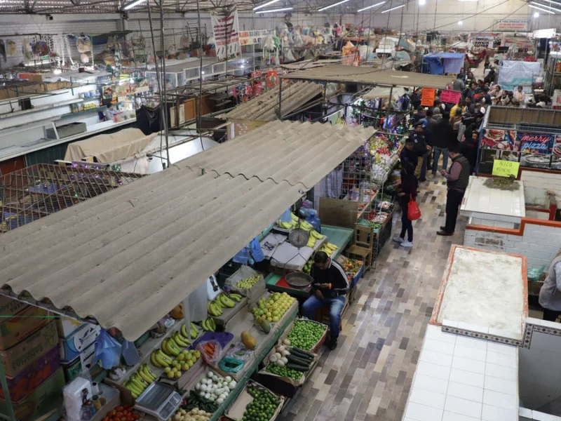 Ayuntamiento de Puebla fumigará mercados contra plagas de arañas, ratas y cucarachas  