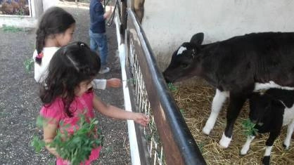 El pasado 30 de marzo arrancó el periodo vacacional correspondiente a la Semana Santa, el cual, tendrá una duración de dos semanas. Muchos padres están pensando qué hacer con sus hijos en Puebla, por eso aquí te dejamos algunas opciones.