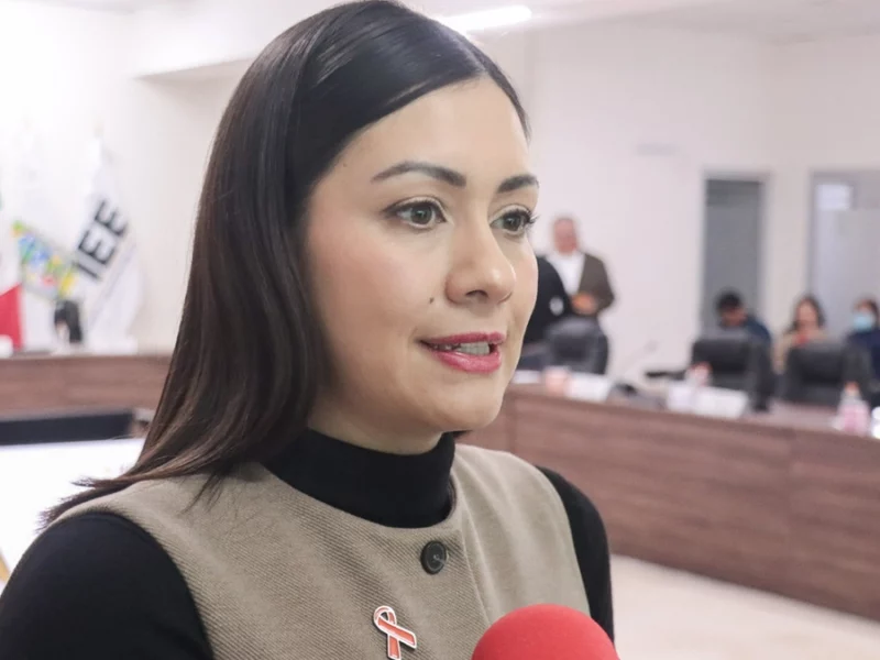 IEE sin posibilidades de intervenir en la elección de “coordinadores”; son vida interna de los partidos