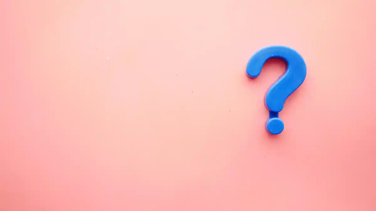 ¿Qué significa neta?.