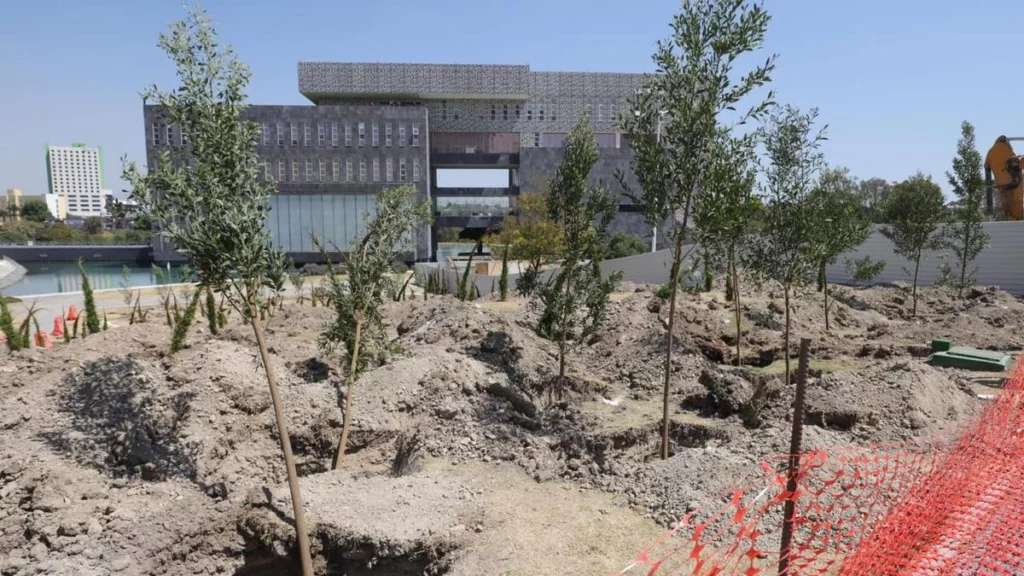La reforestación que incluye la construcción del Cablebús de Puebla planea plantar mil 100 nuevos árboles.