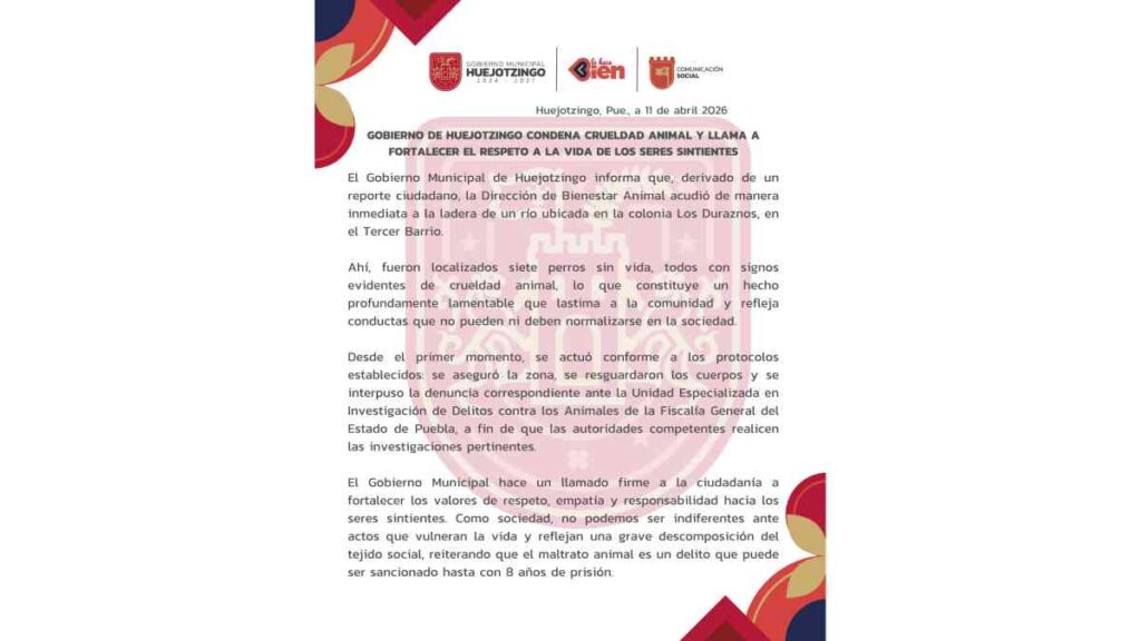 Gobierno de Huejotzingo condena crueldad animal y llama a fortalecer el respeto a la vida de los seres sintientes.