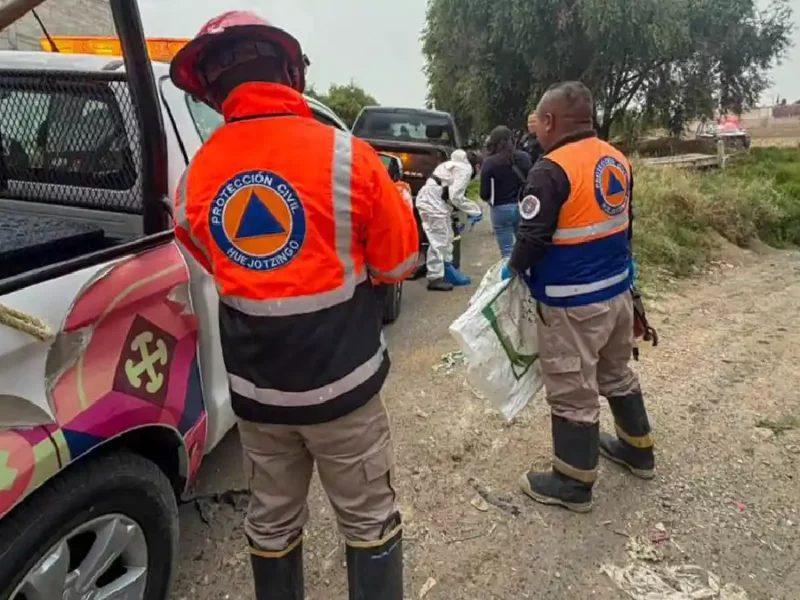 Gobierno de Huejotzingo condena crueldad animal y llama a fortalecer el respeto a la vida de los seres sintientes.