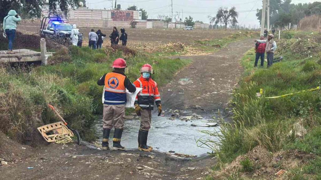 Gobierno de Huejotzingo condena crueldad animal y llama a fortalecer el respeto a la vida de los seres sintientes.