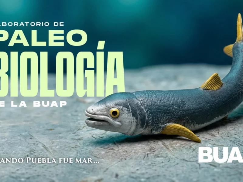 Laboratorio de Paleobiología de la BUAP, evidencia de vida del pasado para vislumbrar un futuro