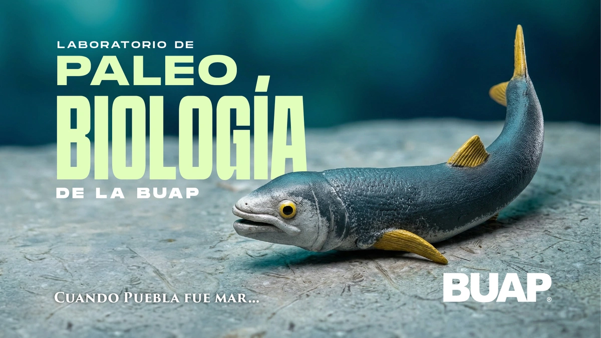 Laboratorio de Paleobiología de la BUAP, evidencia de vida del pasado para vislumbrar un futuro