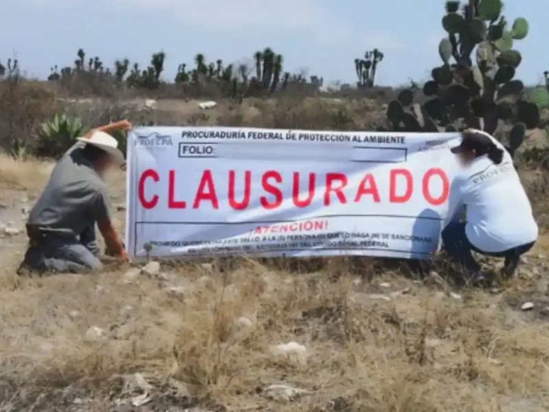 Profepa clausuró la construcción de viviendas en Biosfera Tehuacán-Cuicatlán.