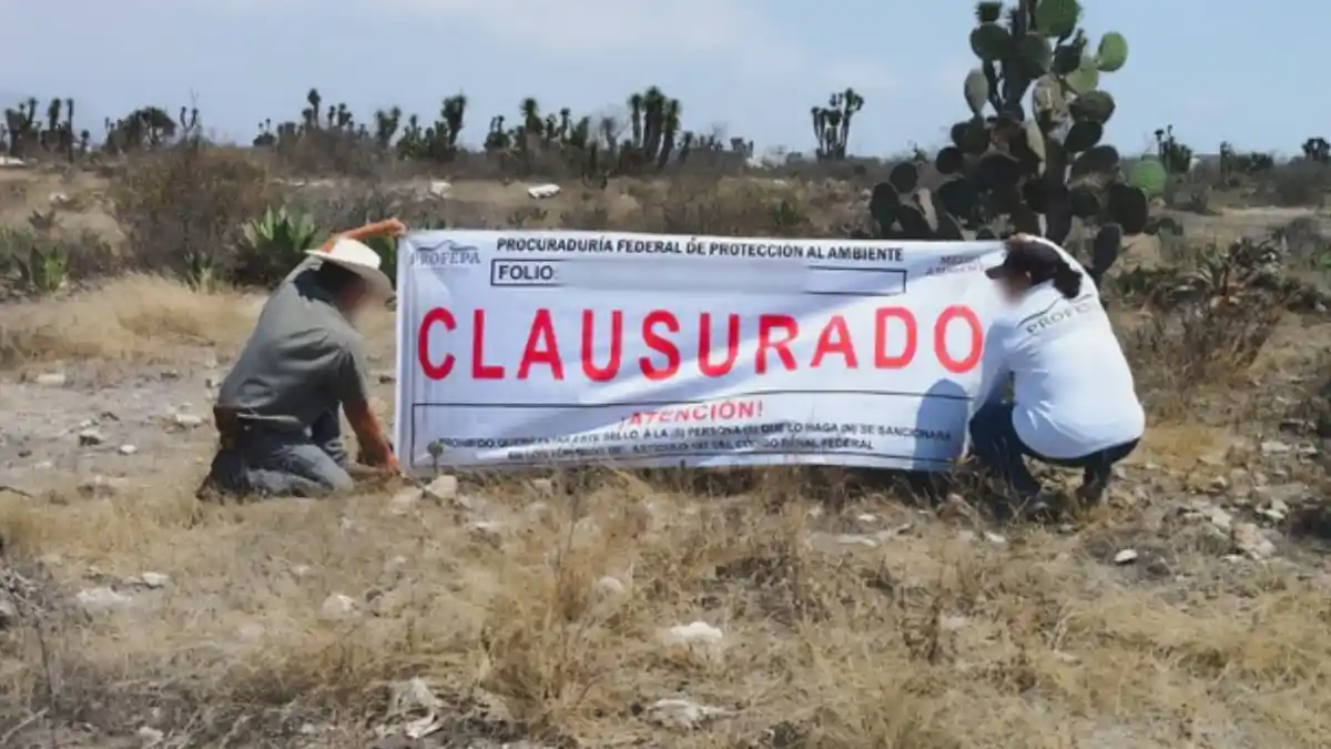 Profepa clausuró la construcción de viviendas en Biosfera Tehuacán-Cuicatlán.