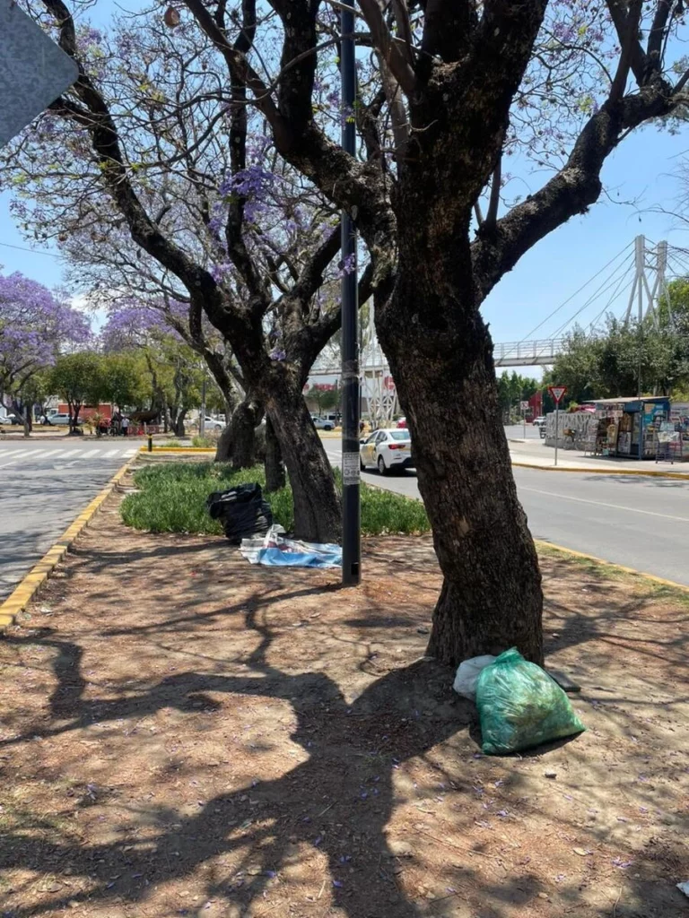 La capital poblana proyecta una imagen opuesta y en abandono.