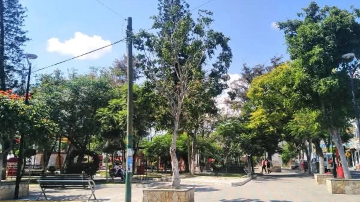 Hallan a adolescente suspendido de un árbol en parque de Tehuacán