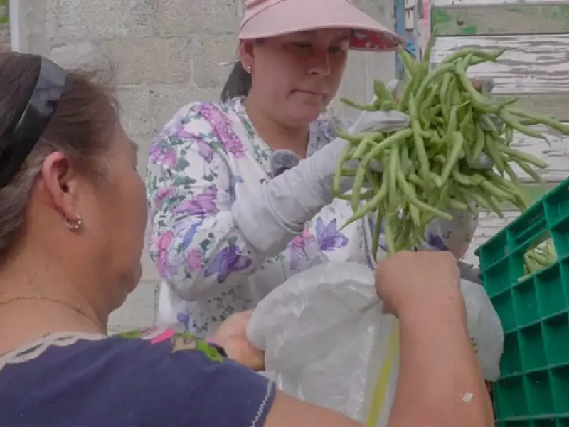Diputada Ana Tepole impulsa apoyo alimentario para más de 600 familias