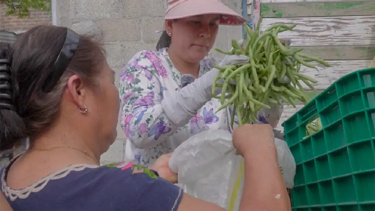 Diputada Ana Tepole impulsa apoyo alimentario para más de 600 familias