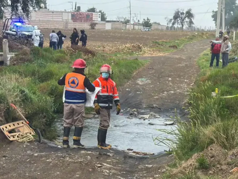 Gobierno de Huejotzingo condena crueldad animal y llama a fortalecer el respeto a la vida de los seres sintientes