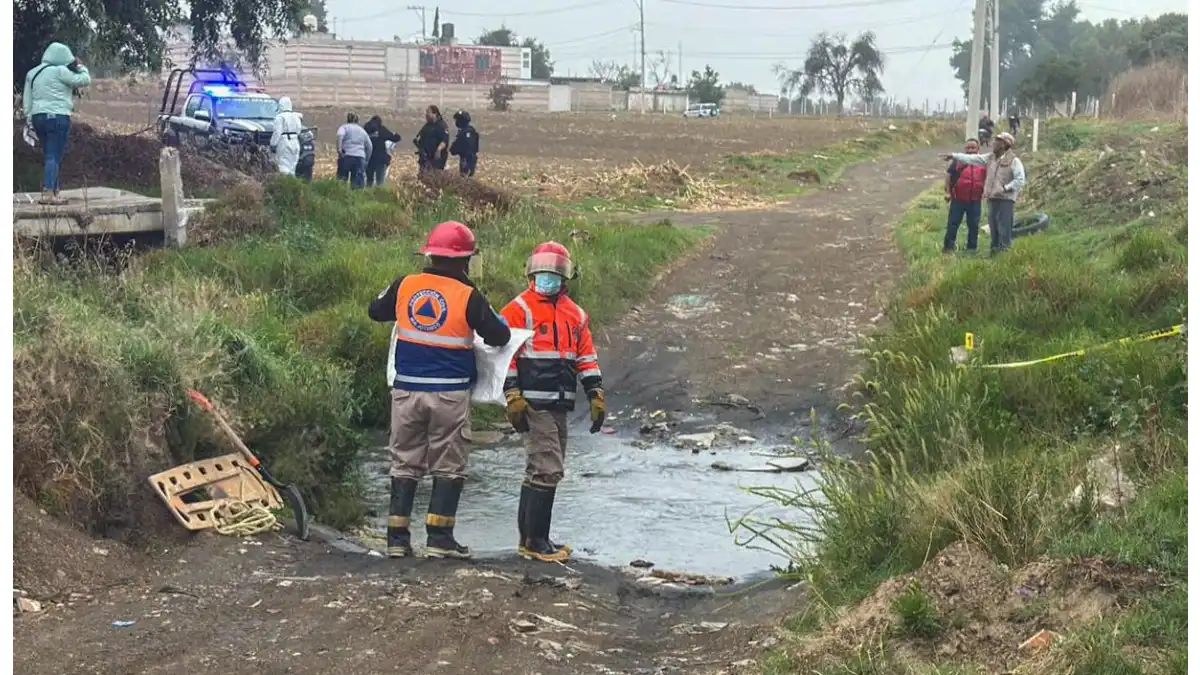 Gobierno de Huejotzingo condena crueldad animal y llama a fortalecer el respeto a la vida de los seres sintientes