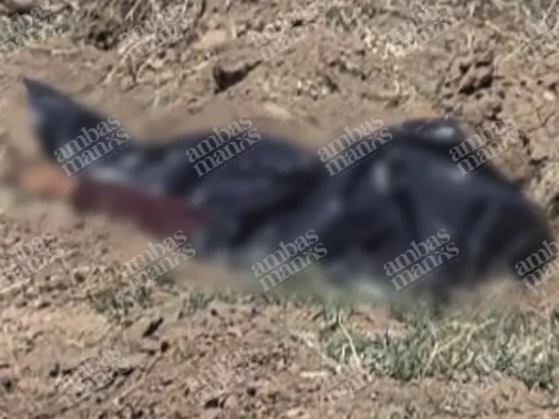 Localizan cadáver embolsado en campos de cultivo de Coronango