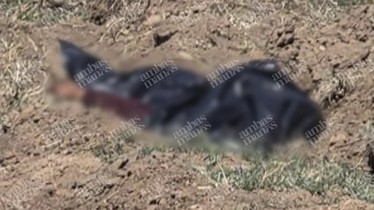 Localizan cadáver embolsado en campos de cultivo de Coronango