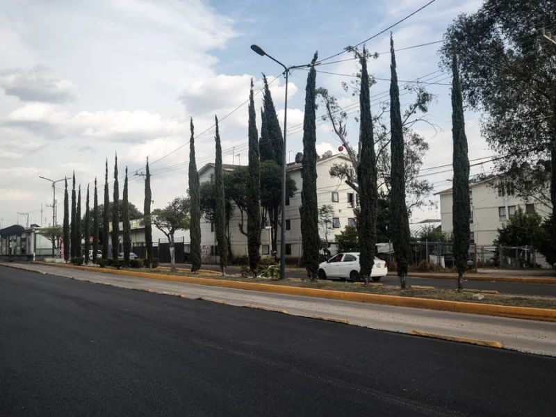 Darán mantenimiento a jardines, parques y camellones de Puebla capital; costará 65 mdp