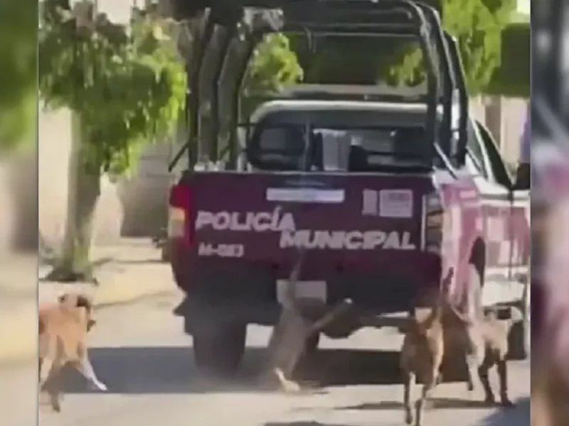 VIDEO: Patrulla de San Felipe Xochiltepec arrastra a un perro